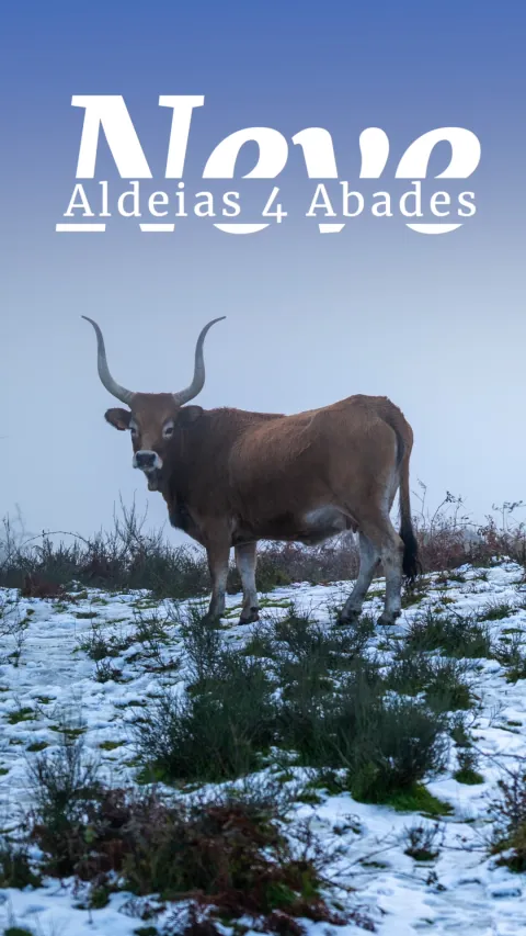 Neve nas Aldeias da Mesa dos 4 Abades | Ponte de Lima